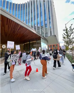  anntonellissima (Ragon Inst. Picket)